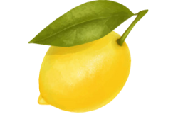 lemon-leaf